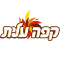 חברות שיווק והפצה